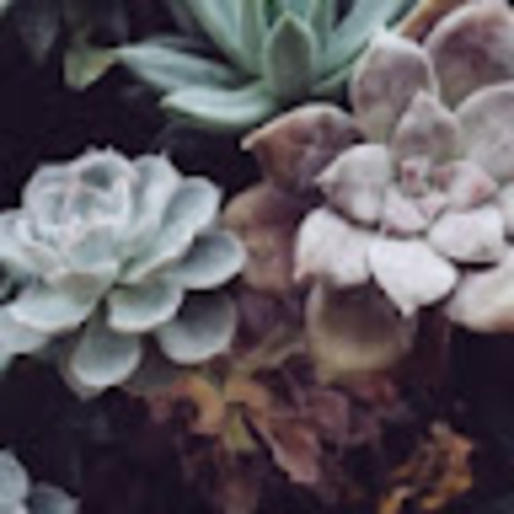 Meet your Posher, Caits. - Picture 1 of 1